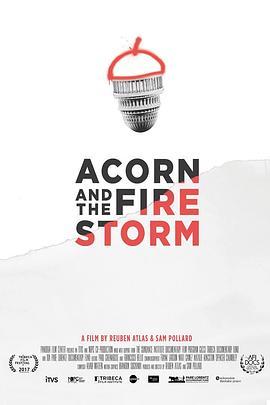 AcornandtheFirestorm