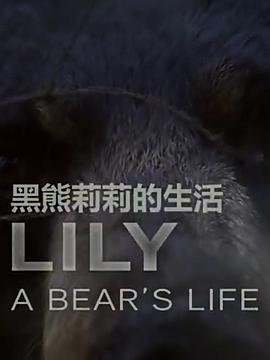 莉莉一头熊的生活