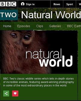BBC自然世界：黑冠猕猴