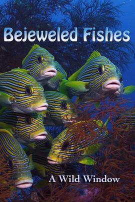 WildWindow:BejeweledFishes