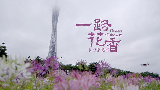 终极报复完整版