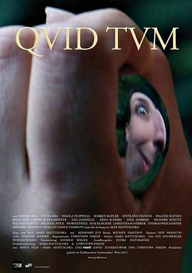 QvidTvm