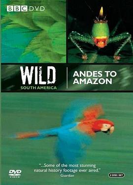 AndestoAmazon